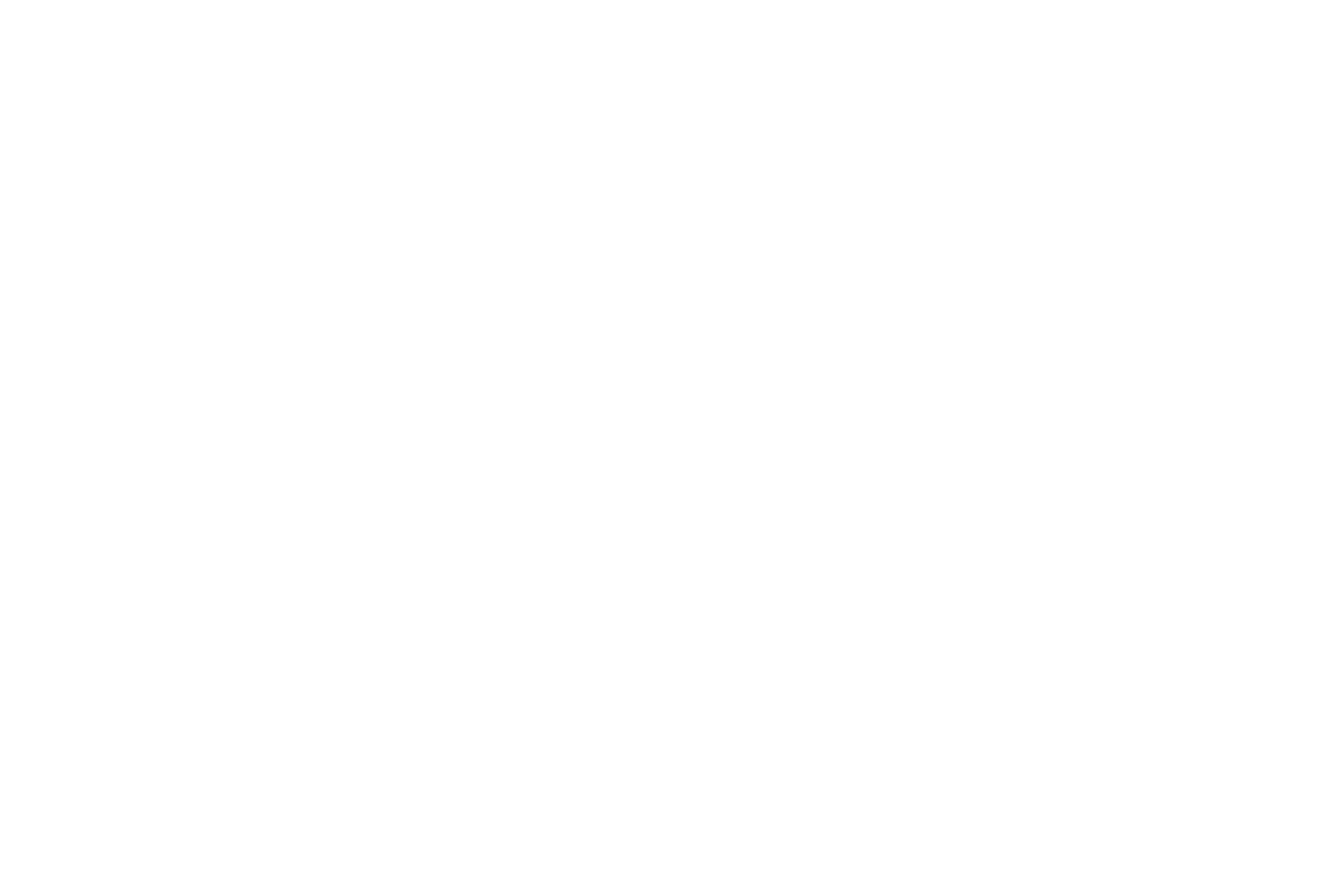 Alex Bravo